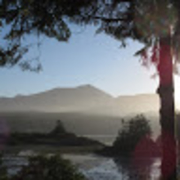 Meet your Posher, Esther - Picture 1 of 1